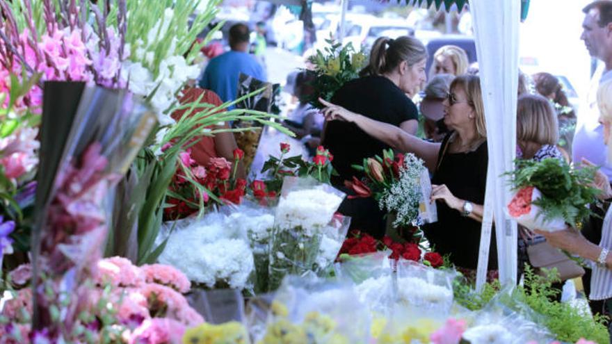 Venta de flores y plantas en la capital.