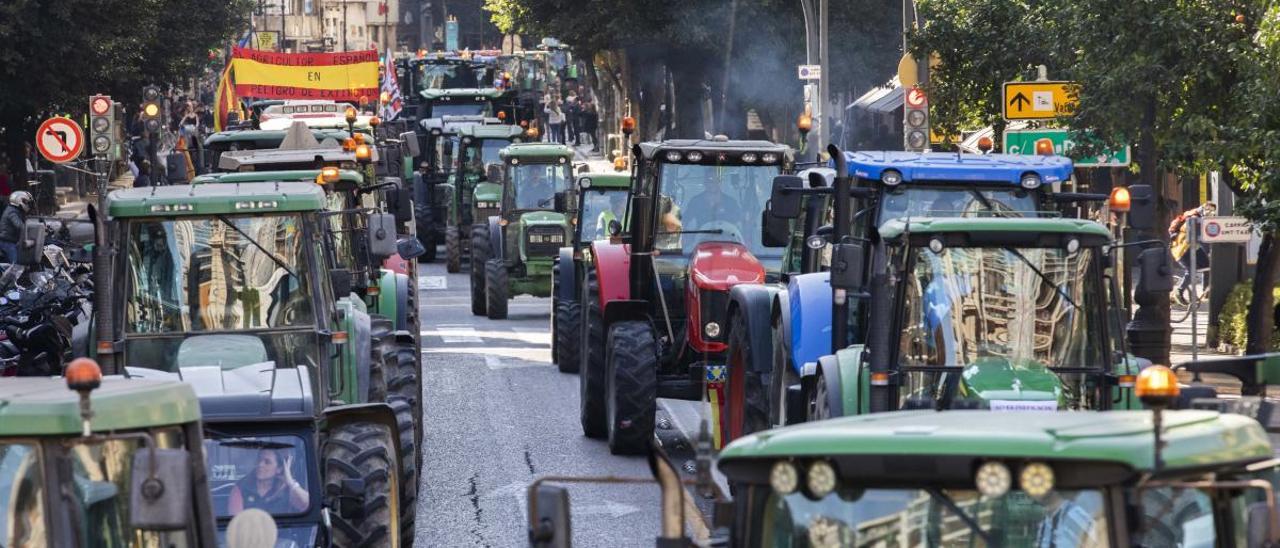 La agricultura «ha disfrutado» una  etapa «favorable» en la última década