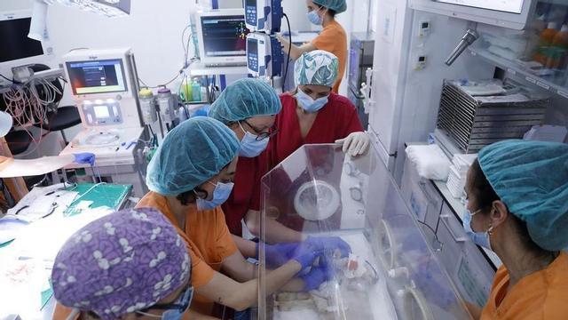 La placenta artificial de Sant Joan de Déu i el Clínic aconsegueix una supervivència de 21 dies en un model oví