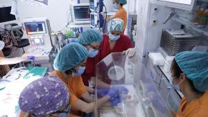 La placenta artificial diseñada por Sant Joan de Déu y el Clínic con una oveja prematura.