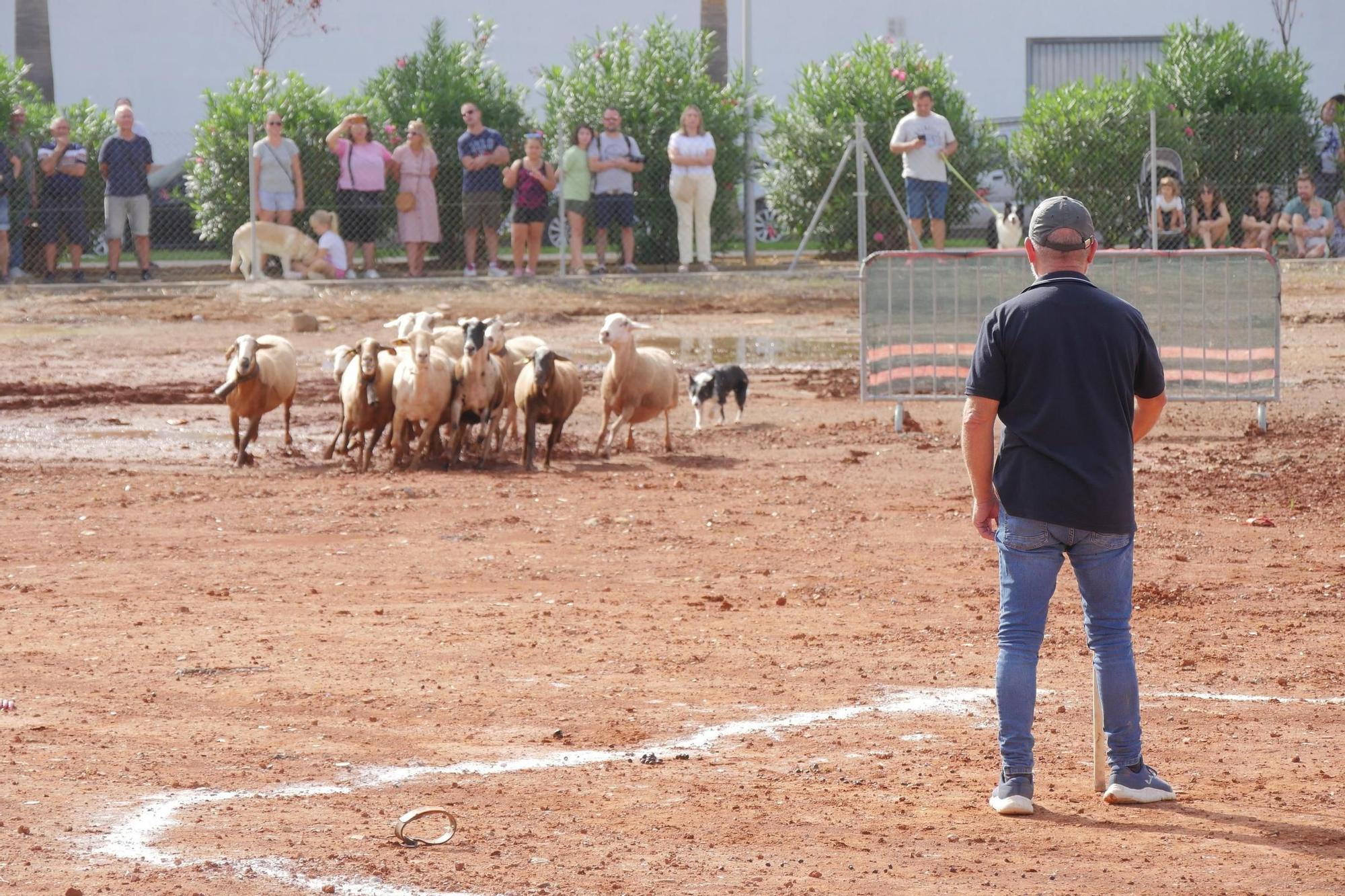 La Fira Agrícola de Nules, en imágenes