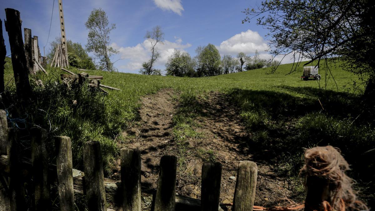 La Campa la Pría, donde Nori y los niños de Tuenes jugaban