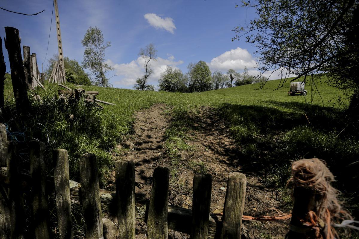 La Campa la Pría, donde Nori y los niños de Tuenes jugaban