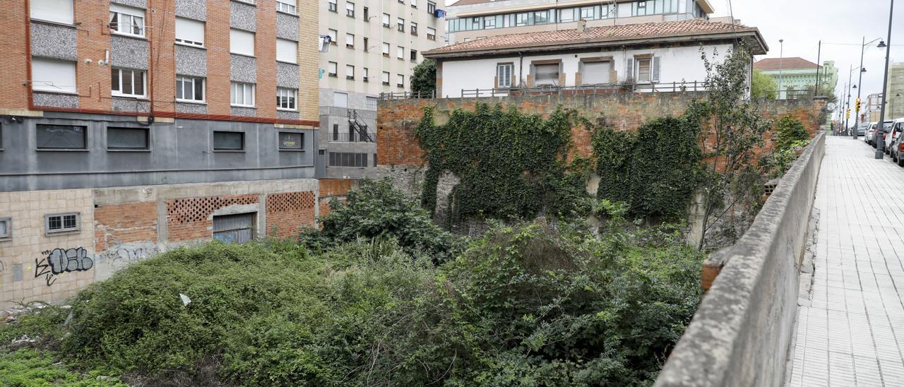 Estado de una finca abandonada y con la maleza trepando por los muros en la calle Avelino González Mallada, en El Coto, ayer.