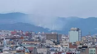 Estabilizado el incendio de una zona boscosa de Santa Coloma de Gramenet