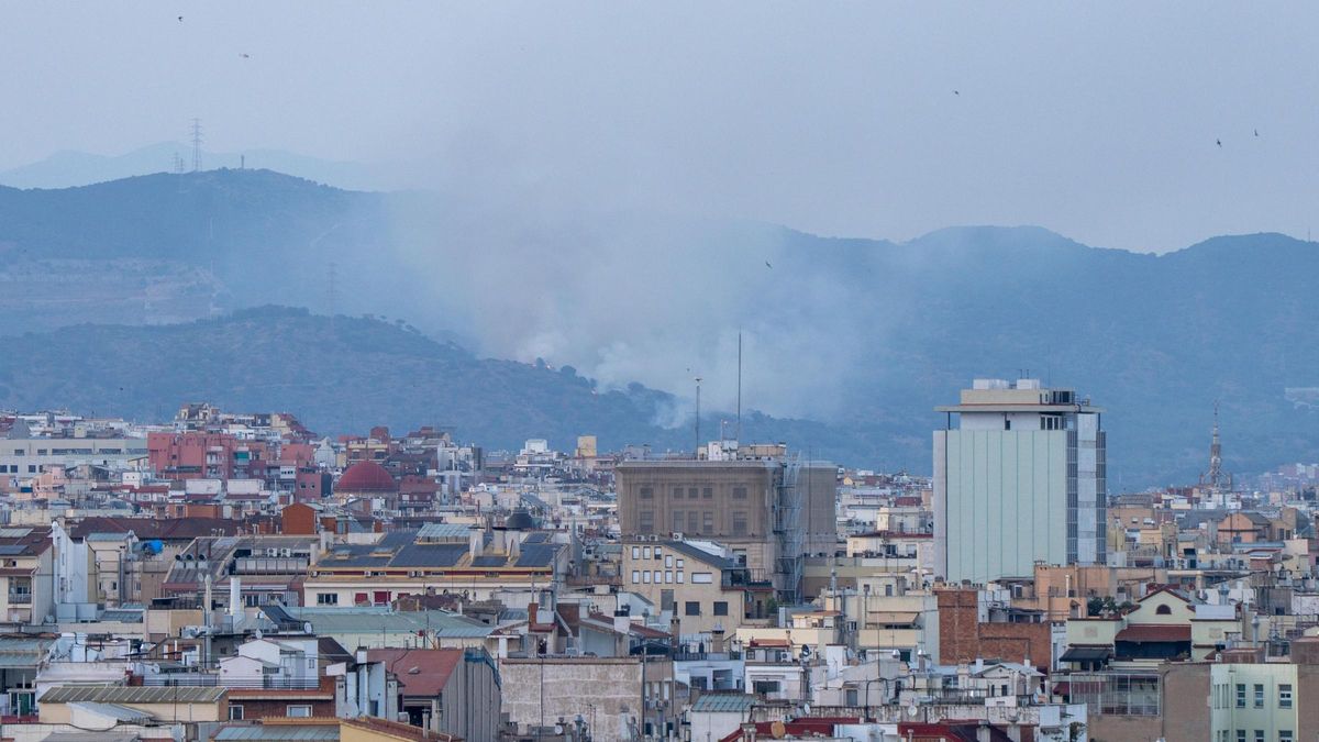 Incendio en una zona boscosa de Santa Coloma