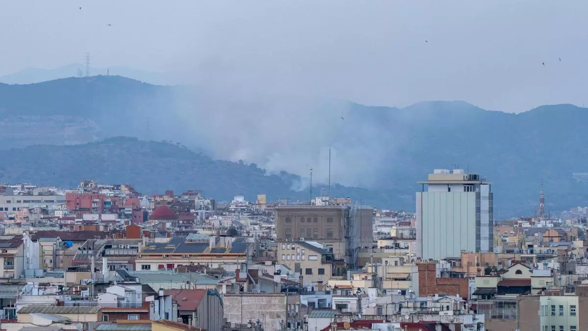Estabilizado el incendio de una zona boscosa de Santa Coloma de Gramenet