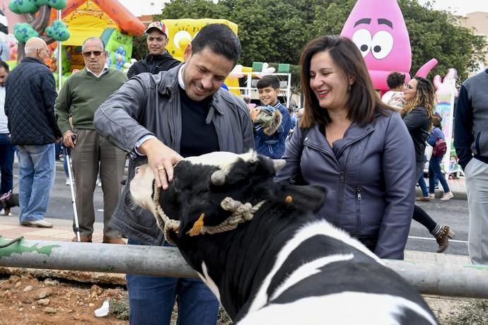 17-11-19 GRAN CANARIA. PLAZA DE SAN GREGORIO Y ALREDEDORES. TELDE. Fiesta de San Gregorio. Fotos: Juan Castro.  | 17/11/2019 | Fotógrafo: Juan Carlos Castro