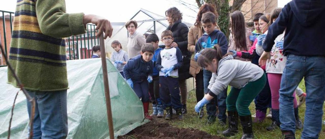 Un grupo de escolares del colegio La Llamiella de Riaño, en el huerto del centro.