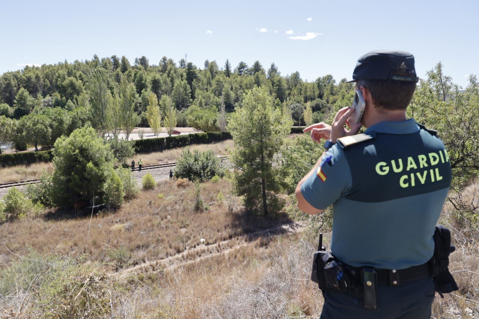 Un trailer con 40 toros vuelca en la A-3 a su paso por Buñol