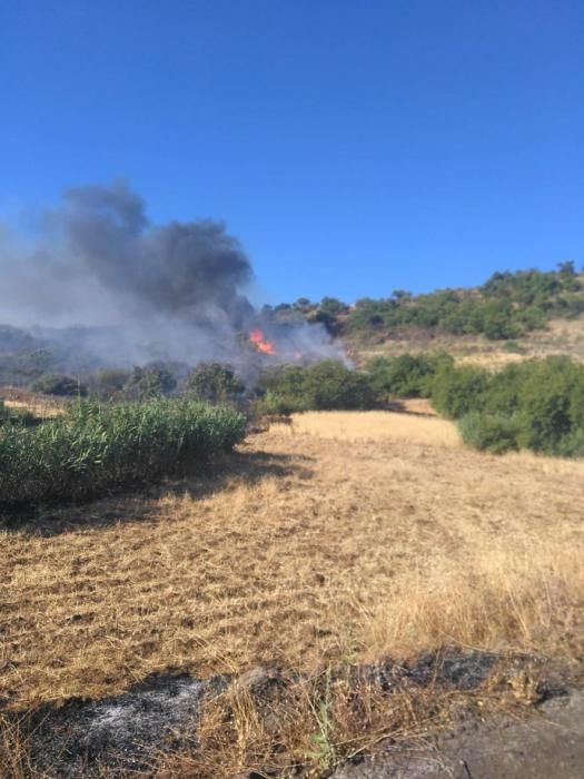 Incendio en Telde e Ingenio