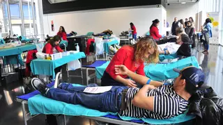 Elche acoge la XVII Maratón de Donación de Sangre este sábado