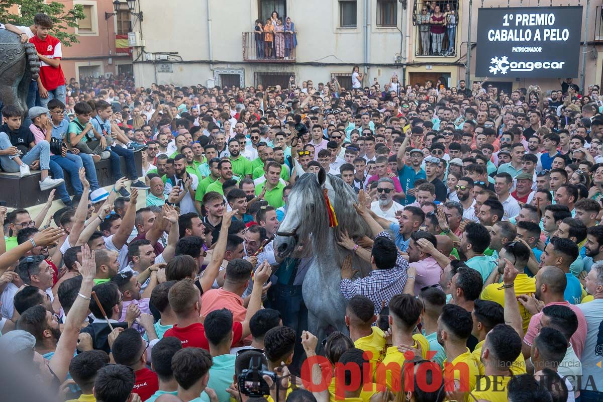 Entrega de premios del concurso morfológico de los Caballos del Vino de Caravaca