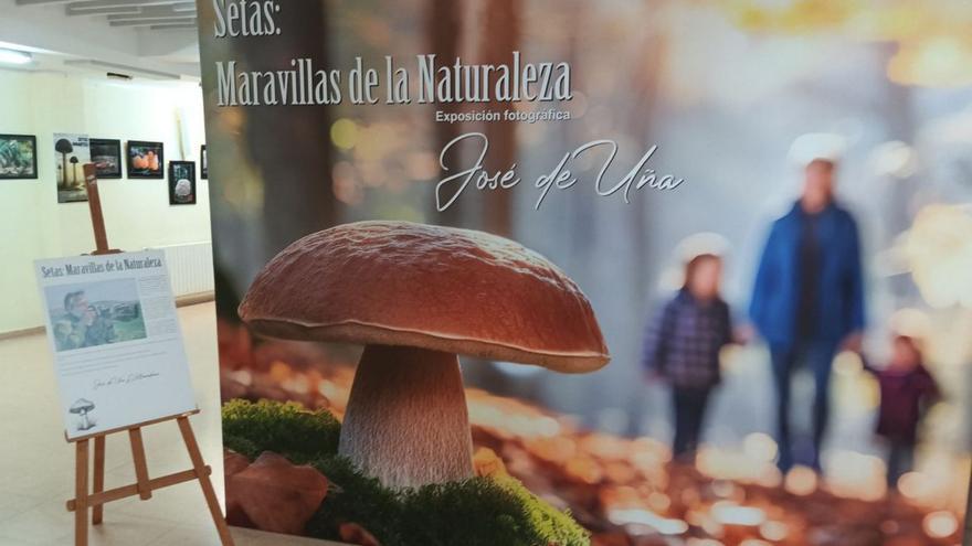 La muestra ofrece un recorrido visual por diversas especies y hábitats. | SERVICIO ESPECIAL