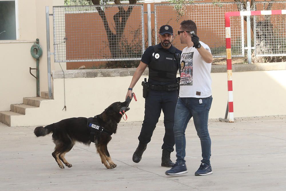 Agentes de Sant Antoni muestran a los alumnos las habilidades de la perra para detectar droga.