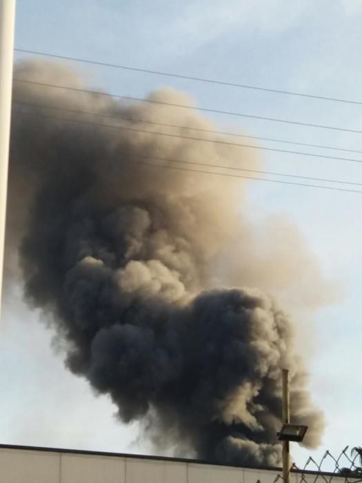 Incendio de la antigua fábrica de zumos Rostoy en Murcia