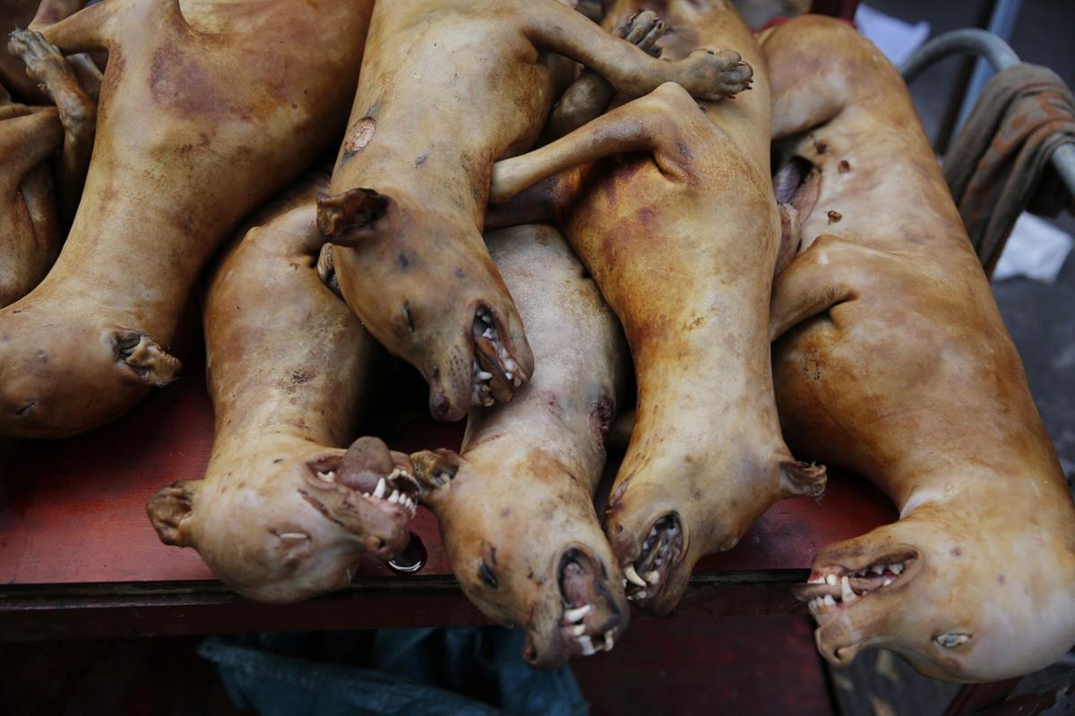 DOG77 YULIN (CHINA) 21/06/2016.-Un comerciante vende carne de perro en un mercado de la ciudad de Yulin, provincia Guangxi, China, hoy, 21 de junio de 2016. Varios miles de perros serán sacrificados hoy para incluirlos en el menú del día del festival de Carne de Perro de Yulin, frente a las protestas de defensores de los animales. EFE/Wu Hong