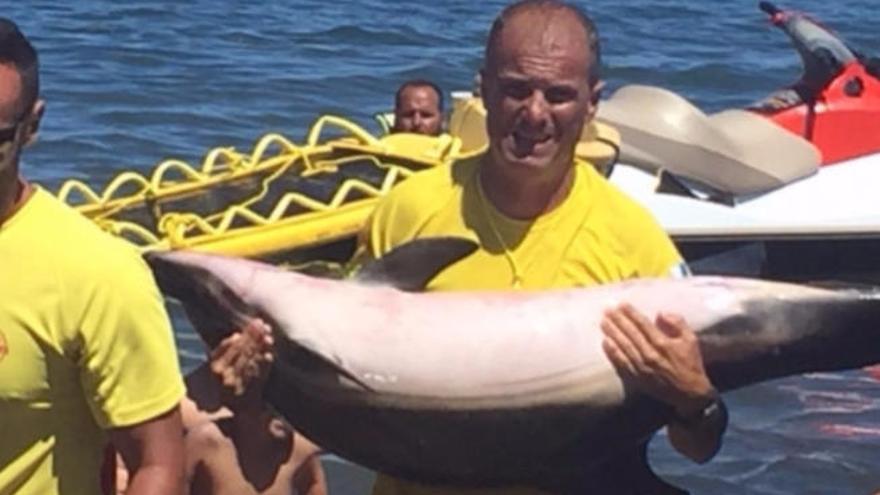 Hallado un delfín muerto en aguas próximas a Tufia