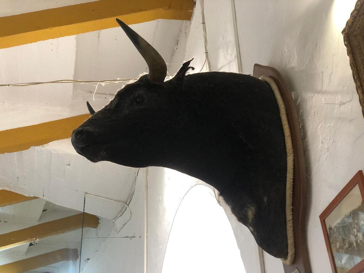 Cabeza de toro en San Albín, en Mérida.