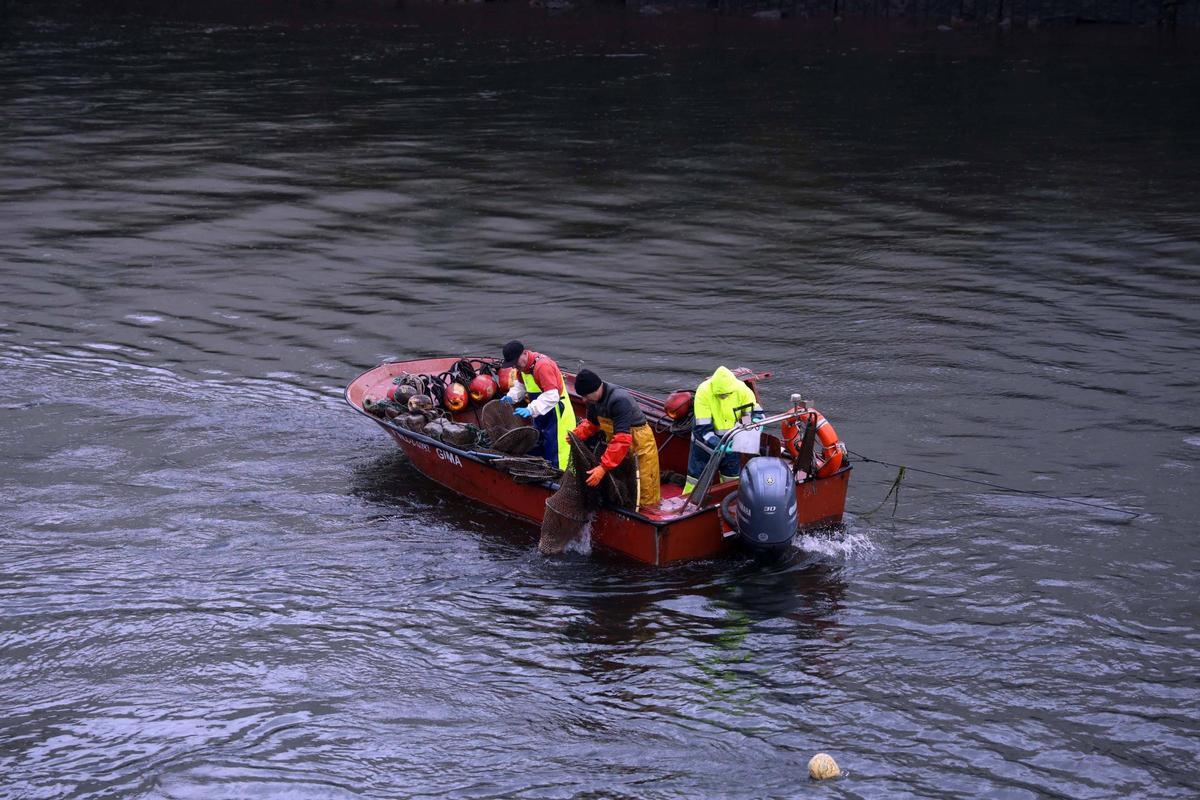 Así se pescan las primeras lampreas de la temporada.