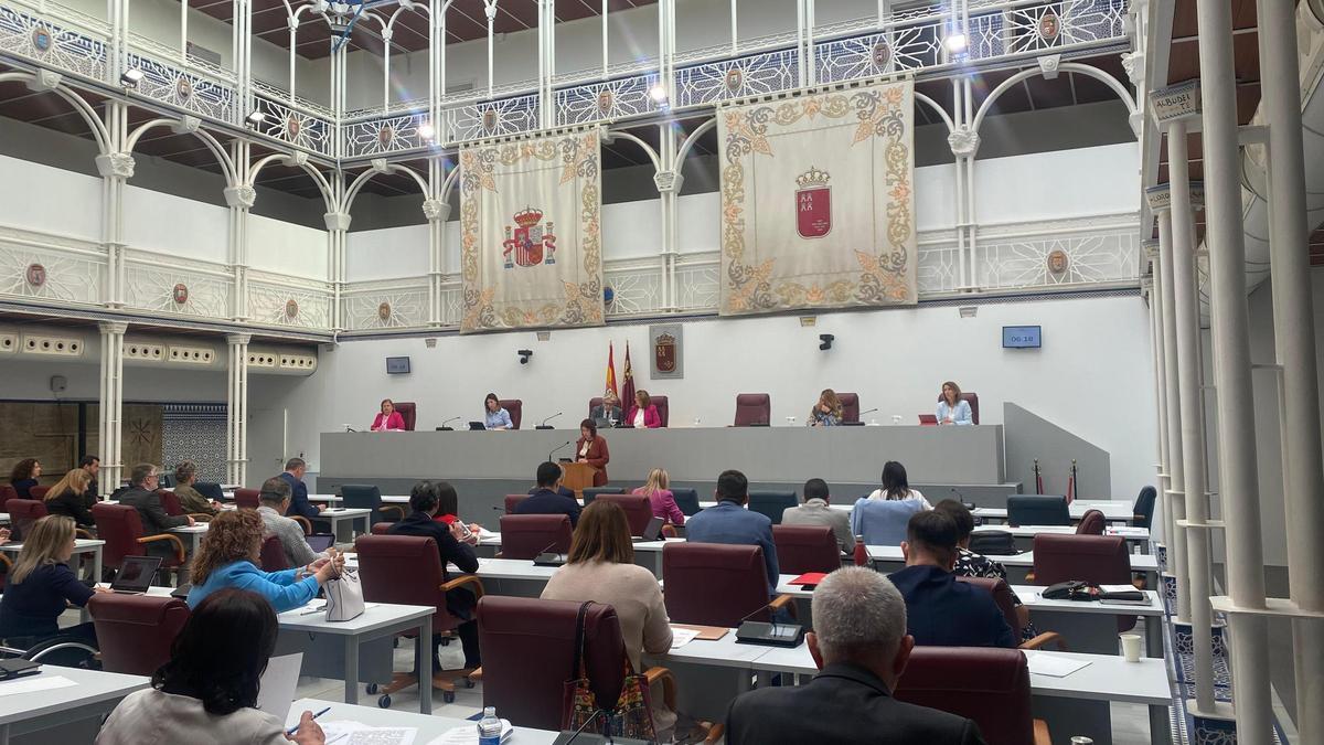 Sesión plenaia en la Asamblea Regional, este miércoles.