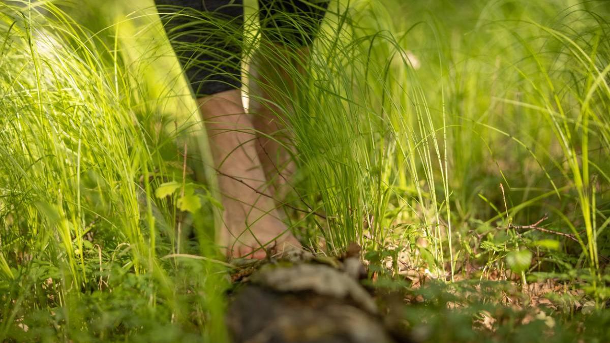 Motivos para practicar el earthing o andar descalzo por la tierra