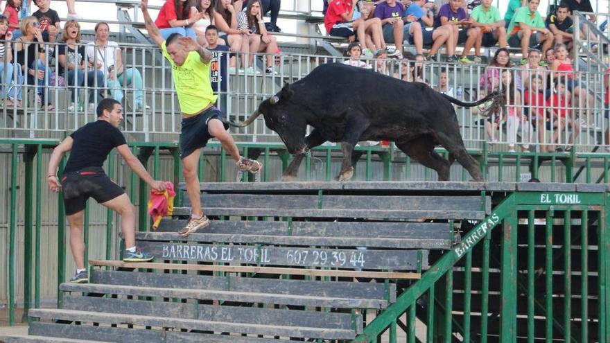 Un festejo de &#039;bous al carrer&#039;.