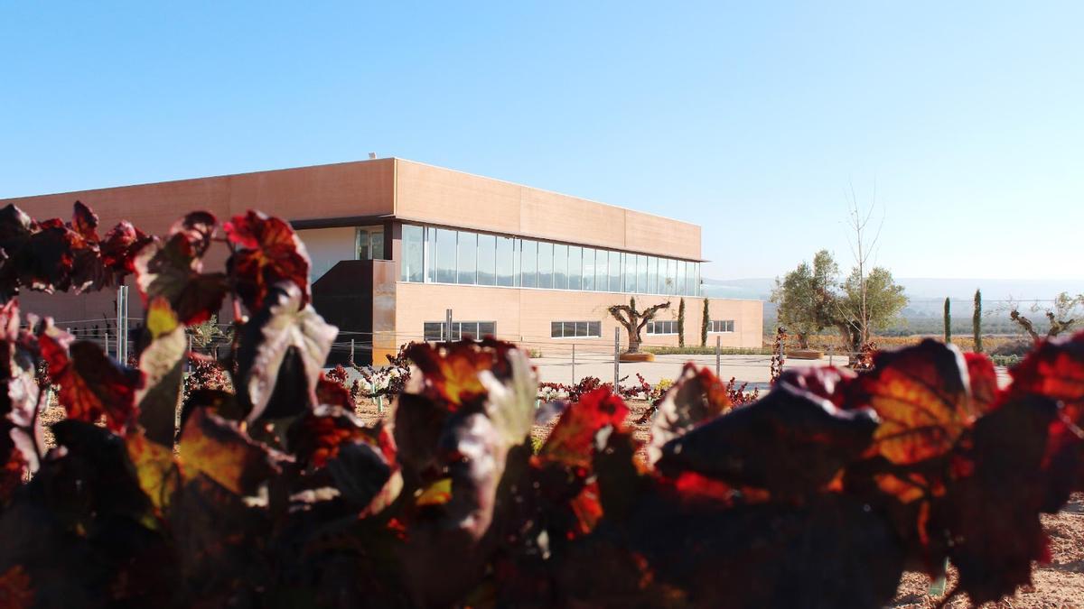 La visita gira en torno a su nueva bodega, ubicada en La Font de la Figuera.