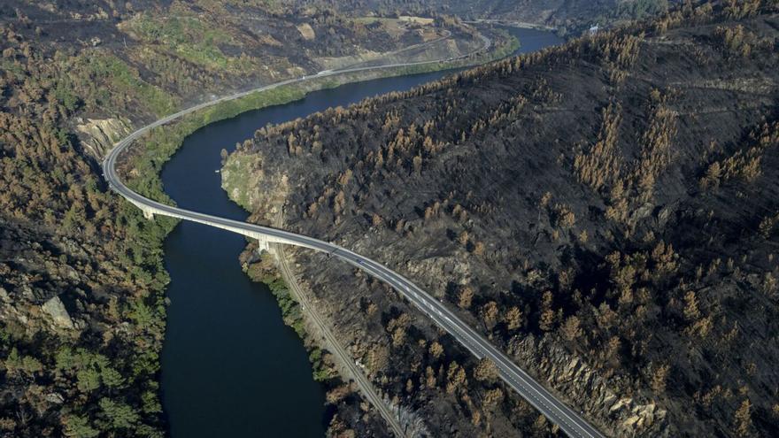 El coste de las 119.000 hectáreas quemadas este año: más de 200 millones