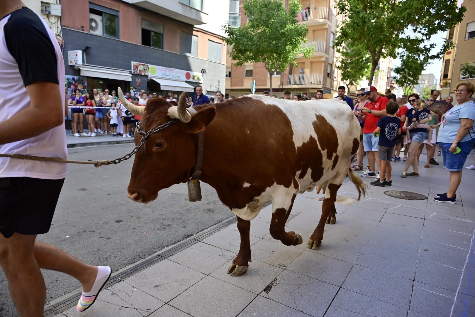 Una 'cagada' vale 1.000 euros
