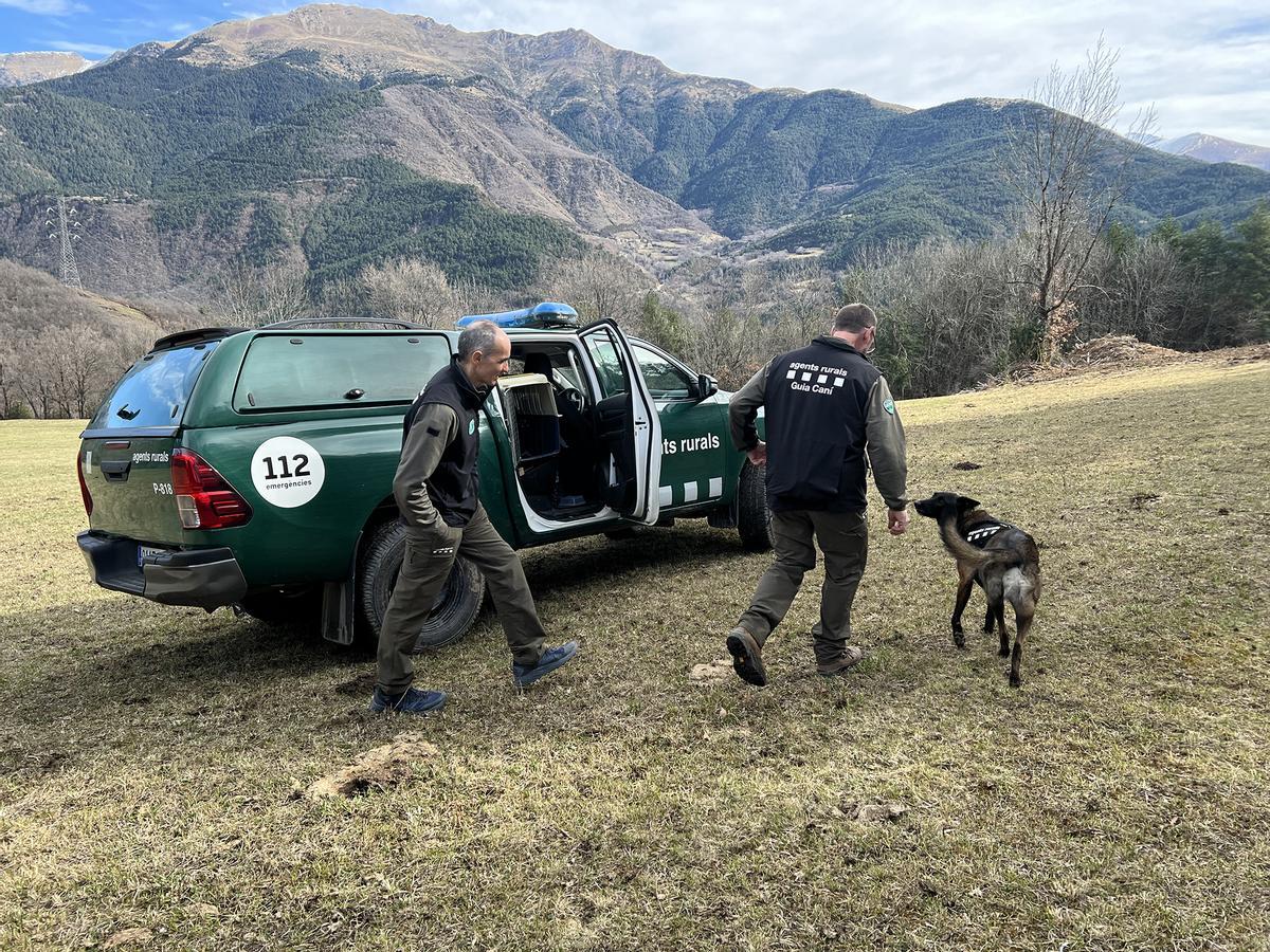 Los agentes rurales hacen un simulacro en Vilaller para mostrar cómo trabaja un perro para localizar a un animal a partir de un excremento