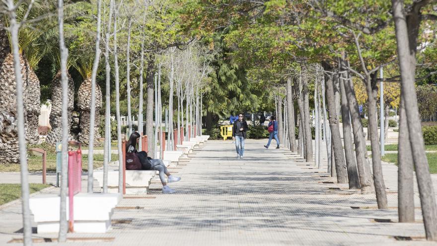 ¿A qué puede llamarse universidad?