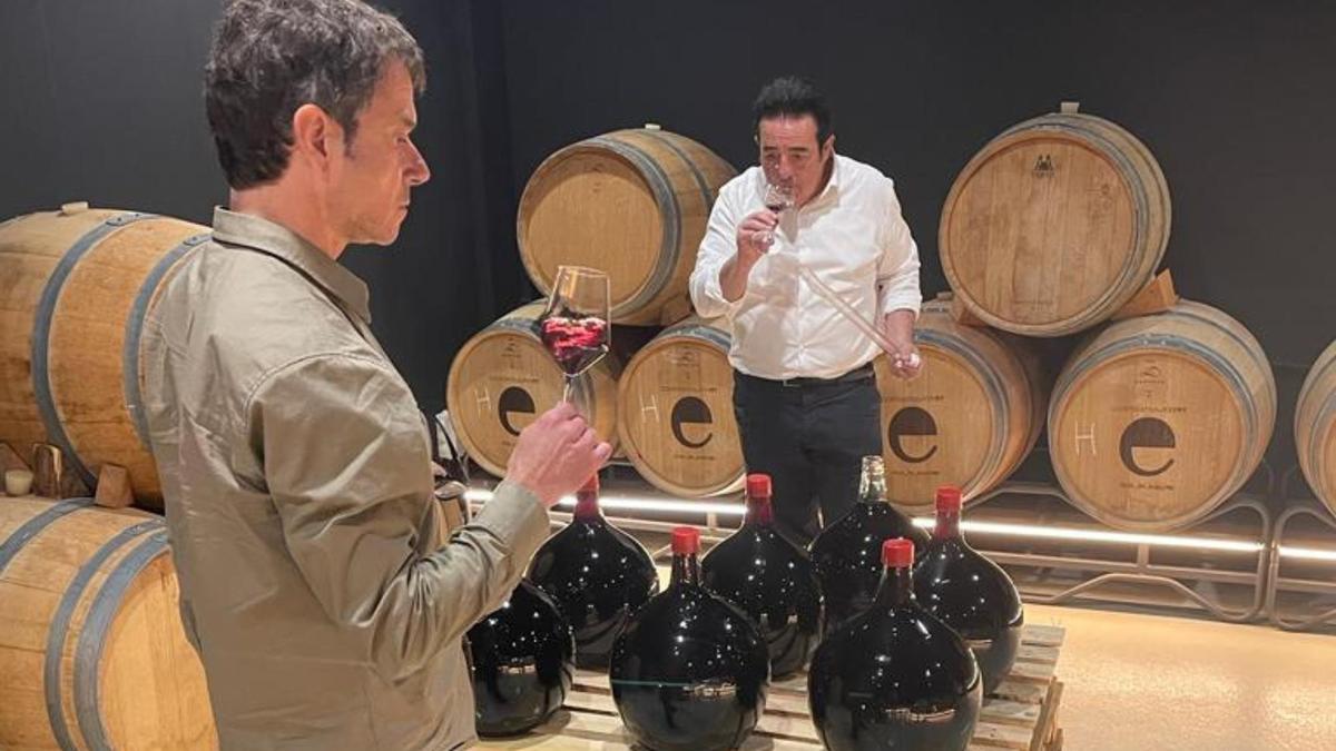 Paco Ribelles y Pepe Mendoza catan las primeras de uvas antiguas en la bodega de la Cooperativa de Viver.