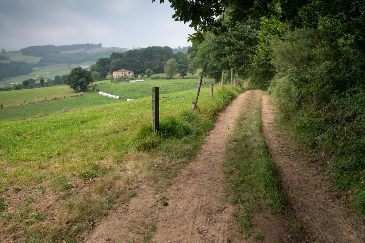 Camino de Santiago Primitivo