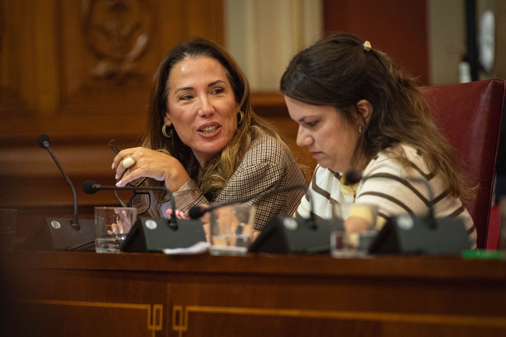 Pleno del Ayuntamiento de Santa Cruz