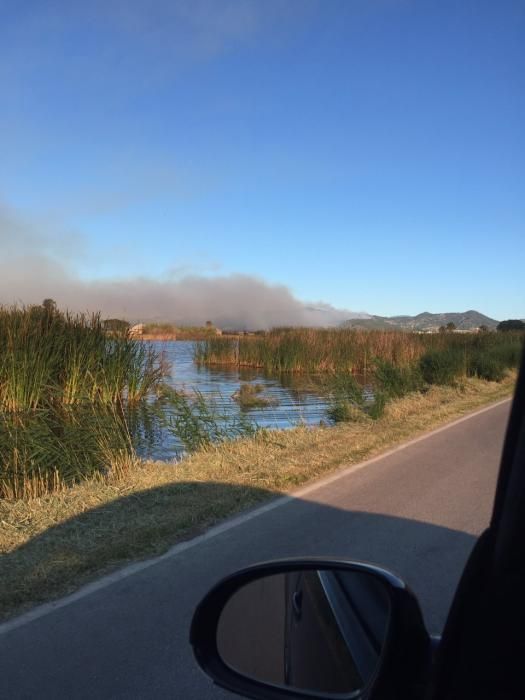 Incendio forestal en Benifairó de les Valls.