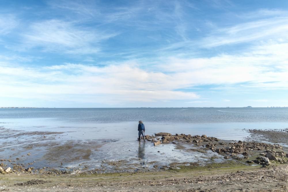 Recogida de plásticos en el Mar Menor