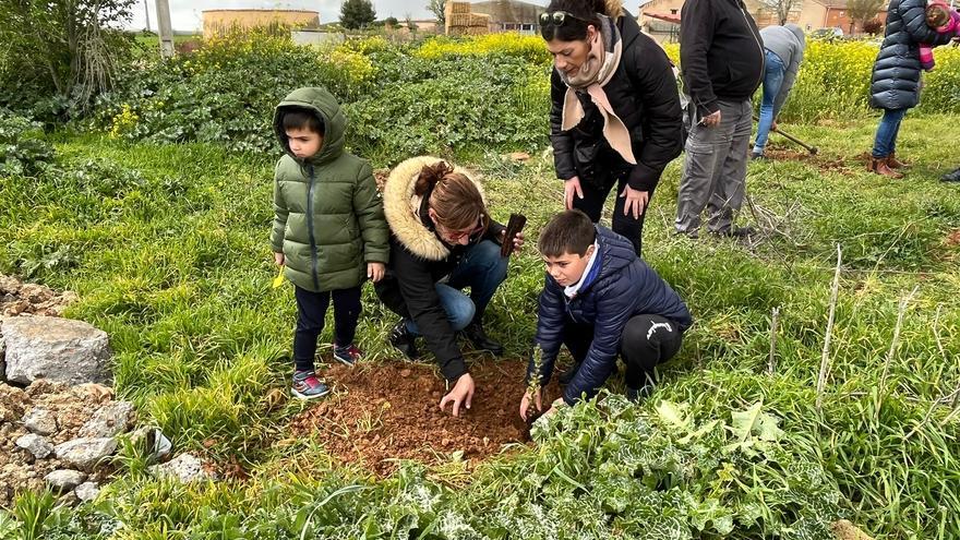 GALERÍA | Niños echan raíces en Castronuevo de los Arcos