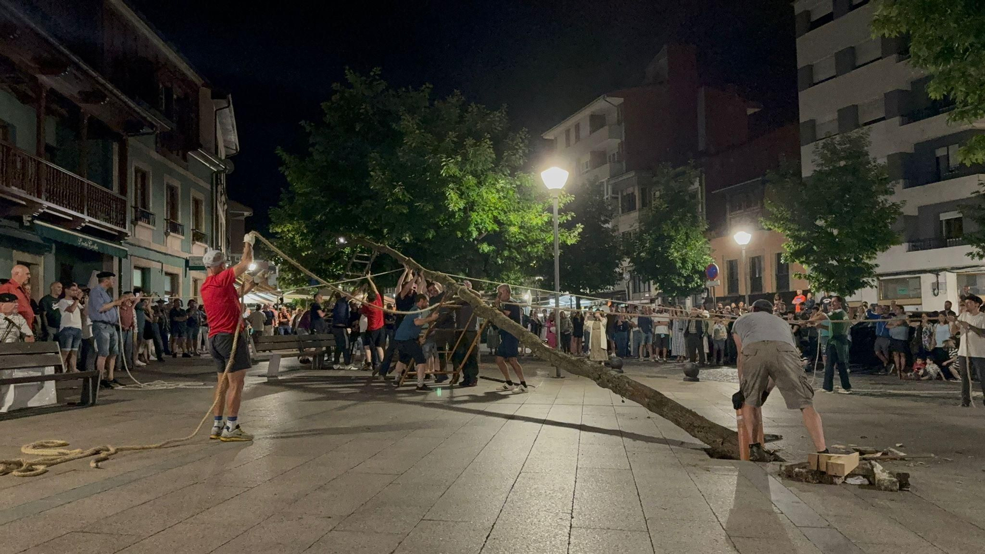 Así fue la plantación del roble de los 'casaos' en Pola