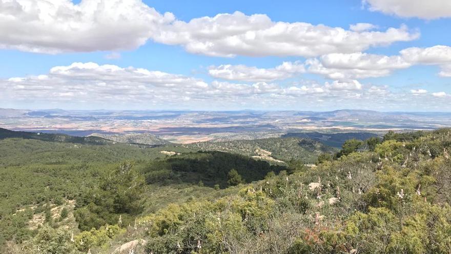 Villena insiste en convertir la Sierra Salinas en un Parque Natural compartido con Yecla