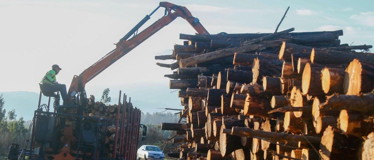 Un operario apilando la madera cortada procedente de los montes comunales de Cea.