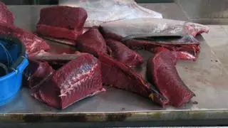 Pillan a dos pescadores furtivos con un atún rojo de más de 70 kilos en Águilas