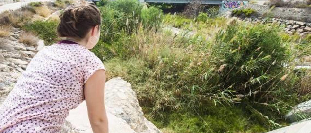 Imagen del Barranco de Santa Faz en Alicante, también necesitado de limpieza.