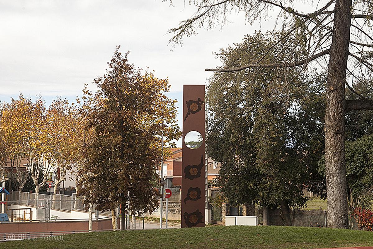 Parets talarà el cedre de la plaça Font de la Salut el 25 d’agost