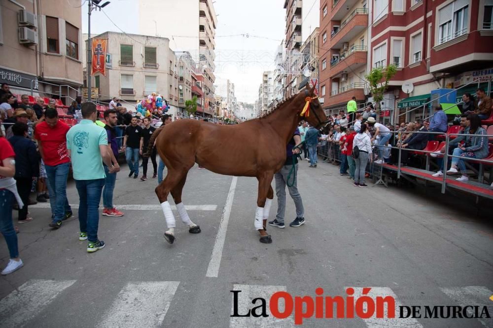 Caballos del Vino: Concurso morfológico (salida Pl