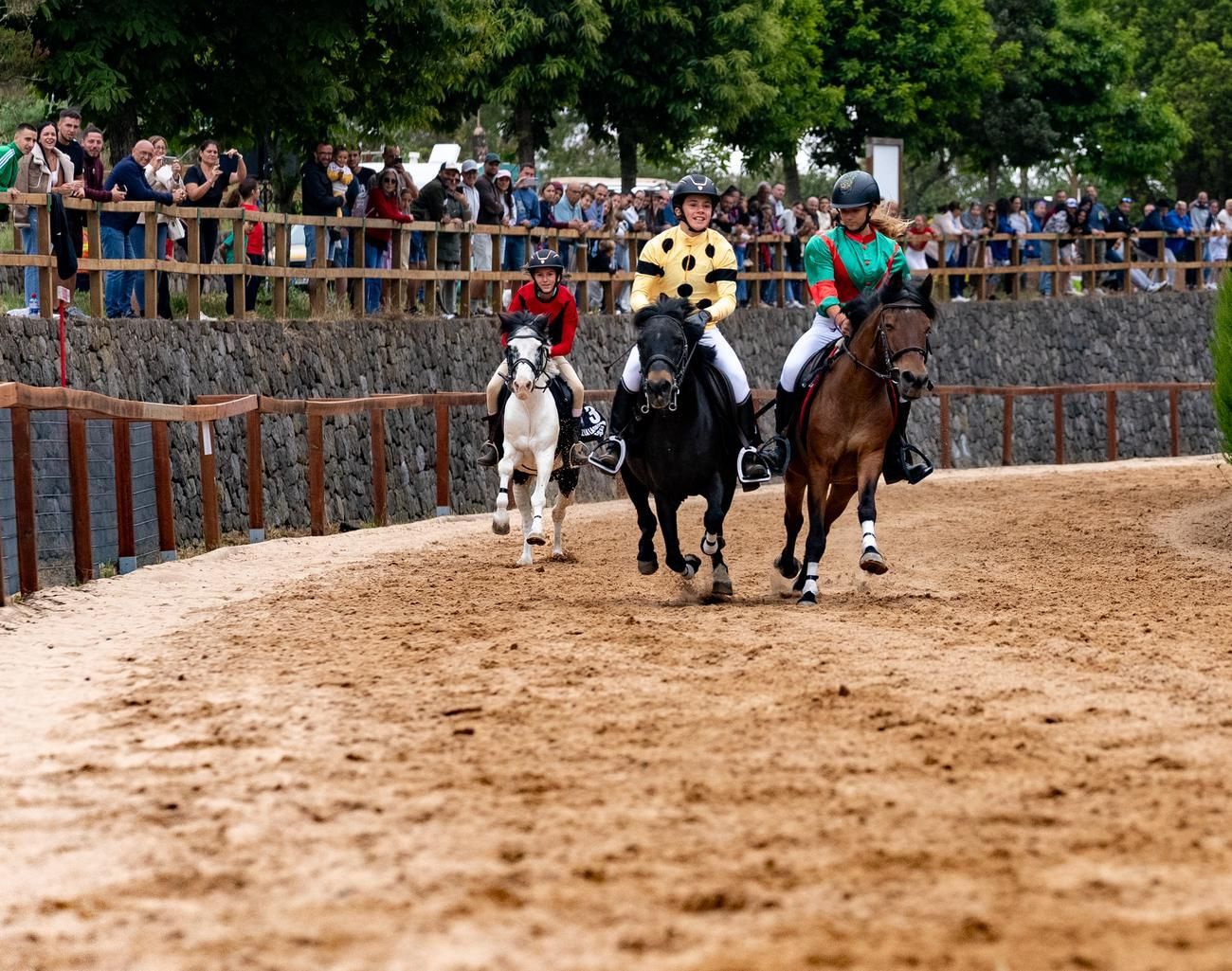 Carrera de caballos III Copa San Vicente Ferrer en Valleseco