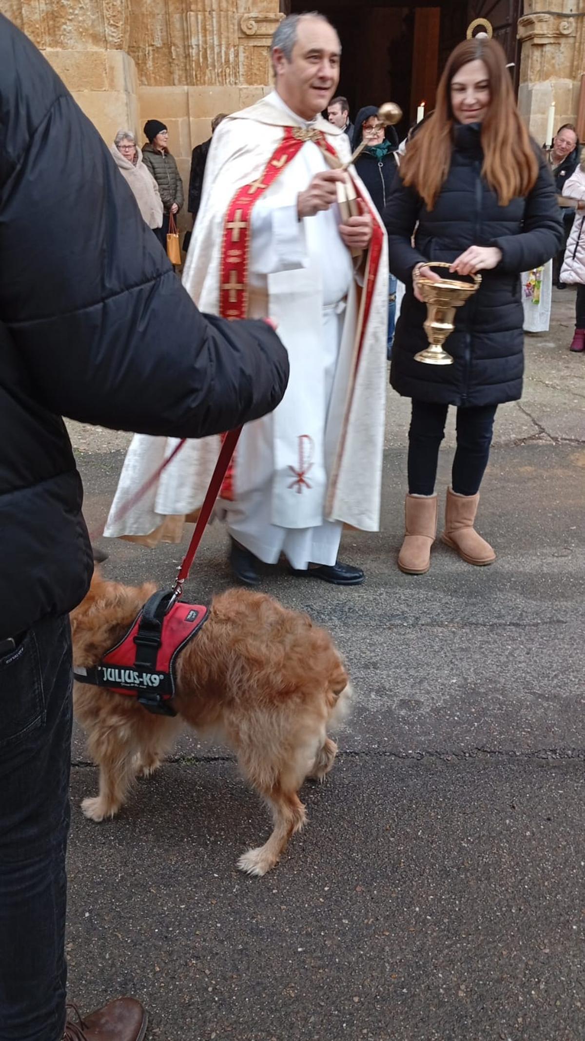 Procesión y bendición de animales en Moraleja del Vino