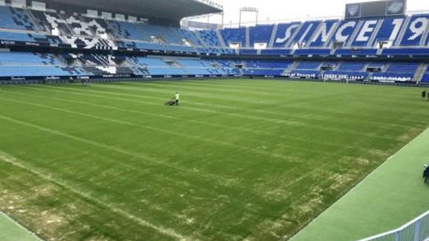 Imagen de cuidados anteriores del césped de La Rosaleda.