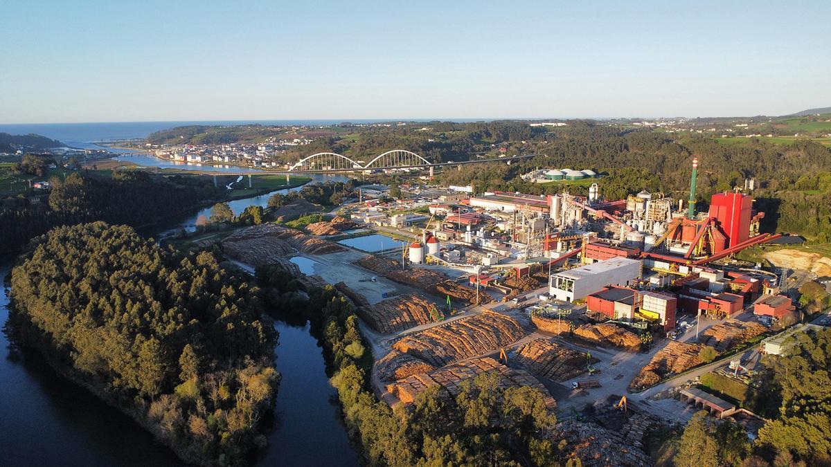 la celulosa de Ence que llegará a millones de pañales