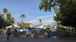 60 Zelte mitten in Palma: Wer hinter dem Protestcamp steckt – und warum die Camper nicht weichen wollen
